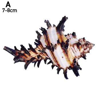 Natural Negru de Mii de Mana Scoică Unicorn Melc Specimen Acvariu de Pește Acasă Ornamente Tancuri Decor H3R7