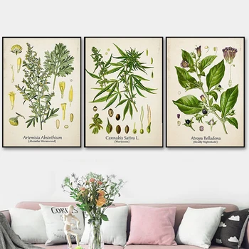 Plante Medicinale Poster Set De Cocaină Canabis Absint Mătrăguna Arta De Perete Pictura Panza Printuri Moderne De Bucatarie Decor Acasă
